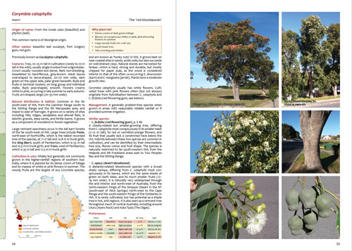 Smaller Eucalypts for Planting - Corymbia calophylla.html
