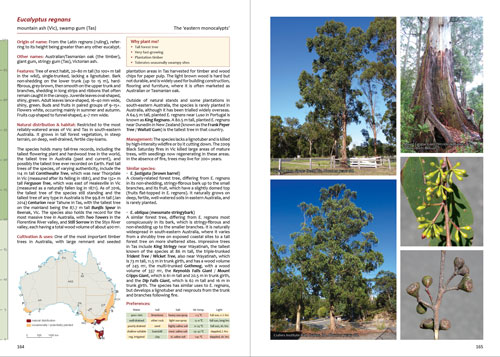 Smaller Eucalypts for Planting - Eucalyptus regnans